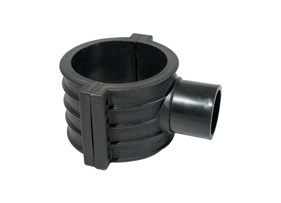 Sternite Fibulae
