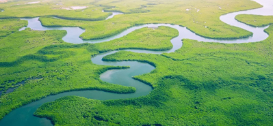 Revolutionizing agriculturae Irrigationem: Munus PVC Pipes et Fittings